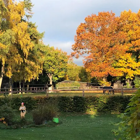 Huck's Ferienhaeuser Borstel (Schleswig-Holstein)