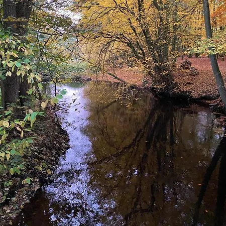 Huck's Ferienhaeuser * Borstel (Schleswig-Holstein)