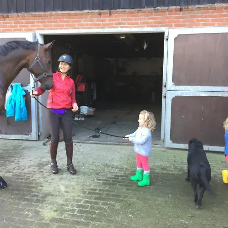 Huck's Ferienhaeuser Borstel (Schleswig-Holstein)