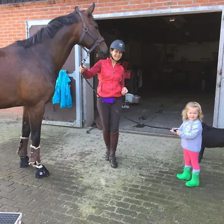 Σπίτι διακοπών Huck's Ferienhaeuser