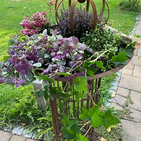 Huck's Ferienhaeuser *