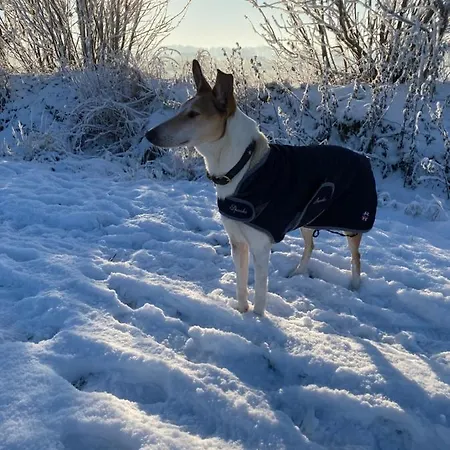 Huck's Ferienhaeuser Borstel (Schleswig-Holstein)