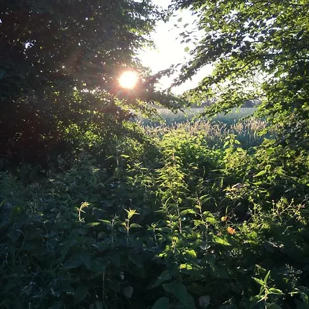 Huck's Ferienhaeuser Borstel (Schleswig-Holstein)