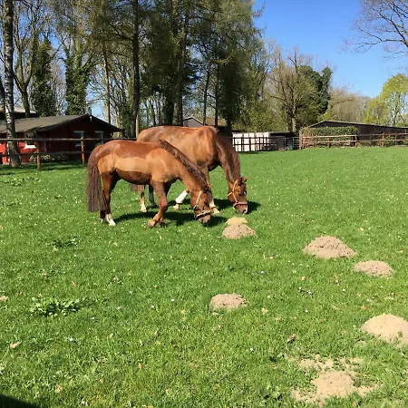 Prázdninový dům Huck's Ferienhaeuser *