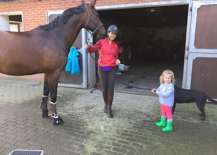 Dom wakacyjny Huck's Ferienhaeuser