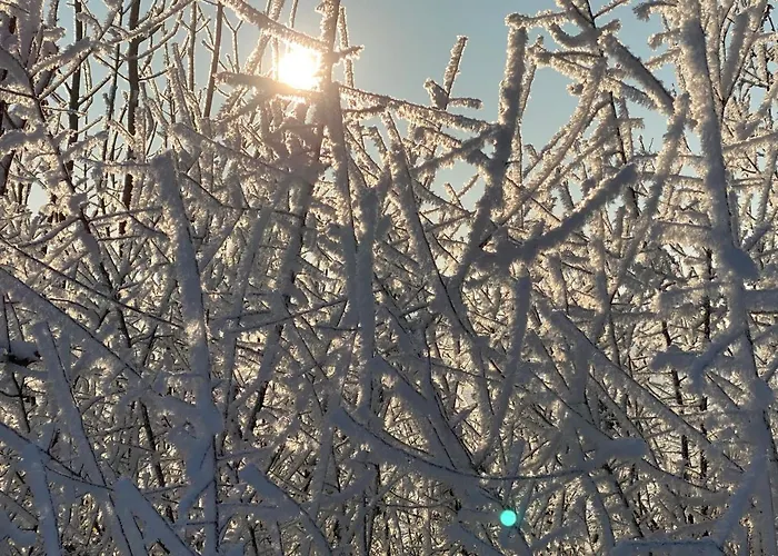 Dom wakacyjny Huck's Ferienhaeuser *
