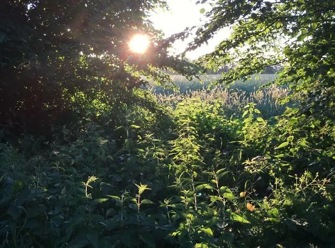 Huck's Ferienhaeuser Borstel (Schleswig-Holstein)