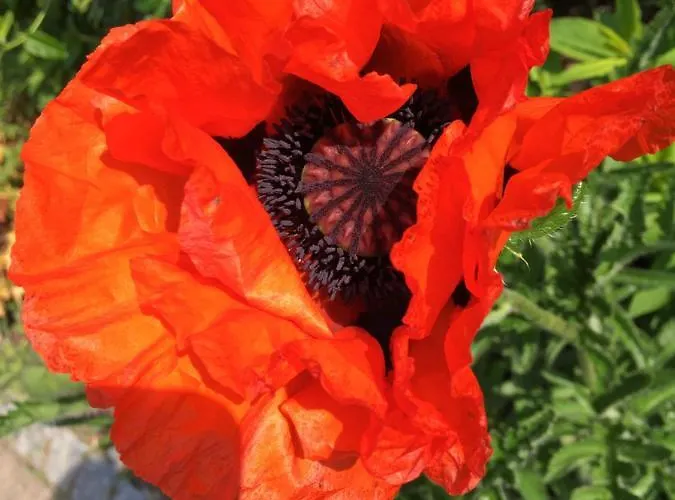 Huck's Ferienhaeuser Vakantiehuis